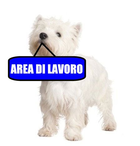 area di lavoro